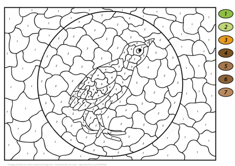 Turkey Poult Color By Number Coloring Page